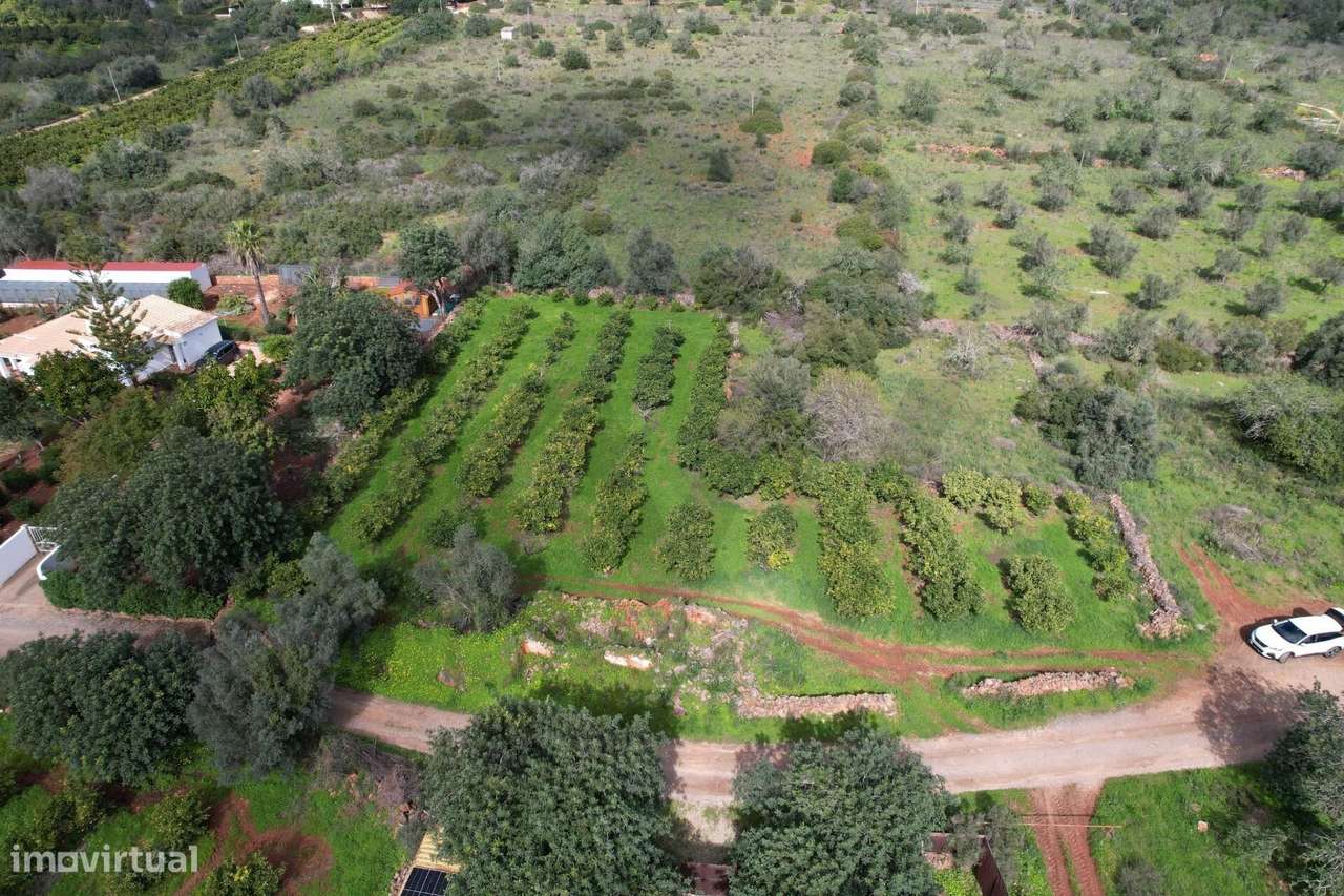 Silves – Messines – Carrascal | Ruína isolada com terreno | Construa a - Grande imagem: 3/19