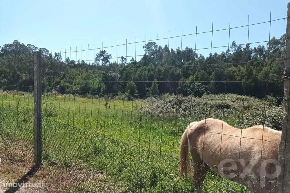 Terreno Rústico em Anta - Grande imagem: 3/5