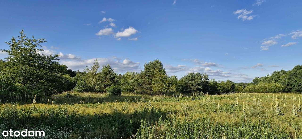 Działka budowlana pod lasem Kędzierzyn-Koźle ul. Czeremchowa/Wandy - Pełny obrazek: 4/7