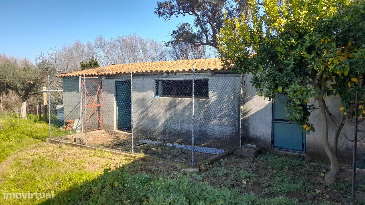 Quinta T0 Venda em Vila Velha de Ródão,Vila Velha de Rodão-11