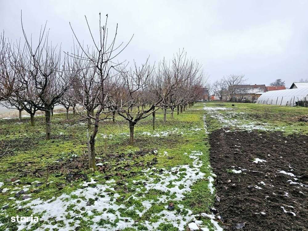 Casă cu teren generos și dublu front stradal, Str. Matei Corvin - Imagine principală: 2/20
