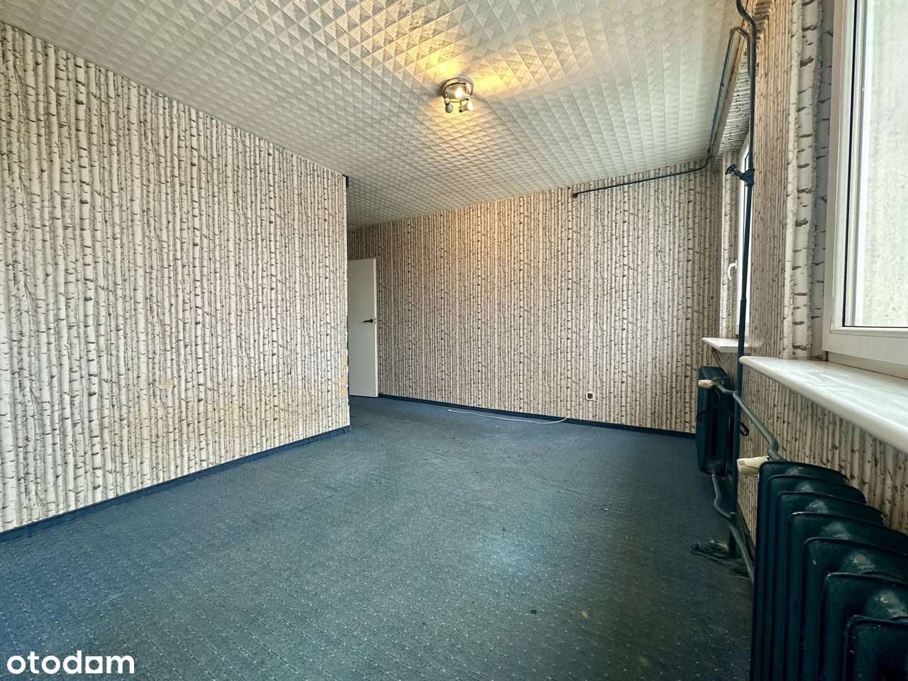 77,8 m² | 3 duże pokoje | 8 minut spacerem do Jeziora Reczynek-11