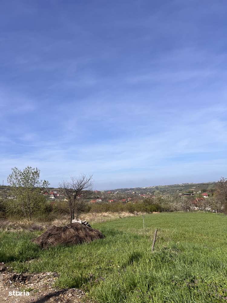 Teren intravilan plat zona deal str. Sofiei toate utilitatile-2