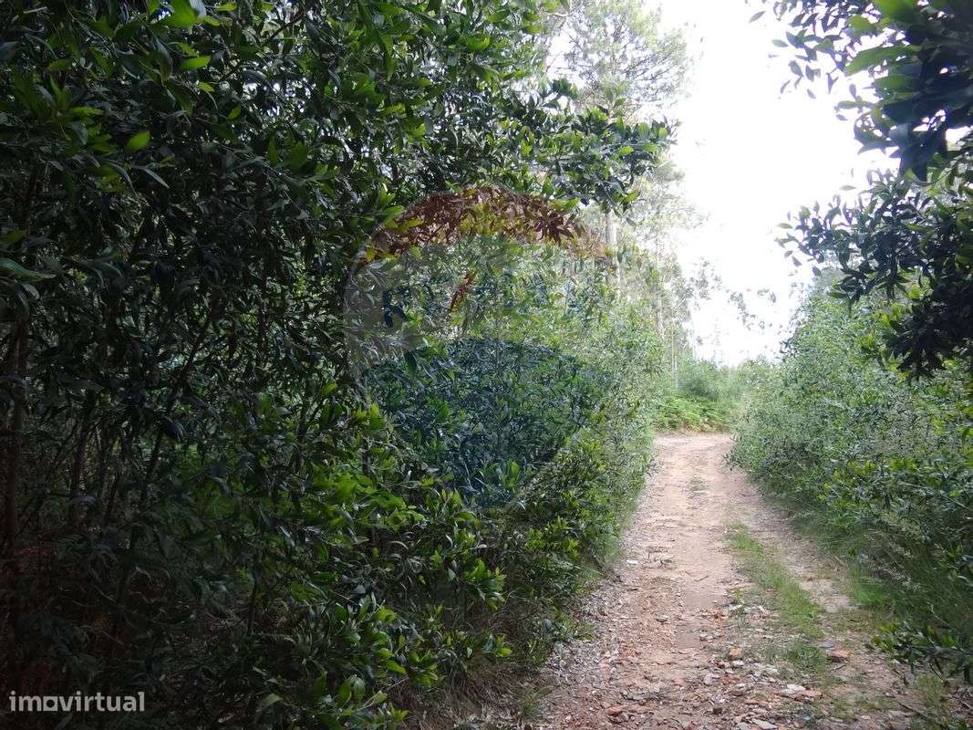 Terreno  para venda - Grande imagem: 2/6