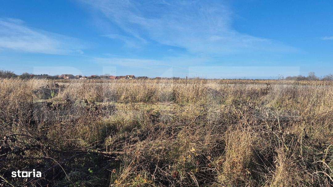 Teren intravilan de vanzare, 900 mp, in Odoreu - Imagine principală: 2/2