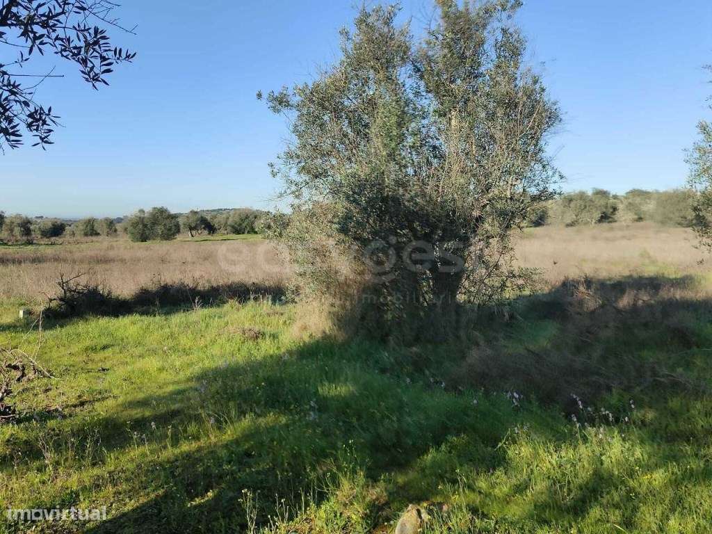Terreno Rústico com 4750m2 localizado na freguesia de Vila Alva - Grande imagem: 3/12