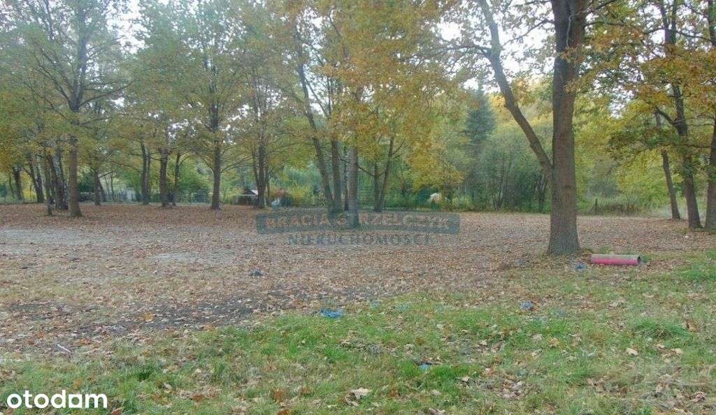 Działka, 1 511 m², Chojnów - Pełny obrazek: 5/11