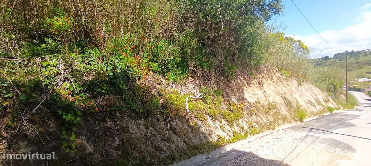 Terreno Praia da Foz do Arelho - Grande imagem: 5/12
