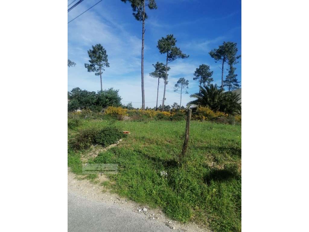 Terreno urbano com 3977 m2 na Aroeira, Charneca de Caparica.-9