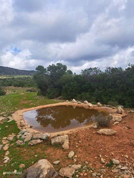 Terreno Rústico 51 720m² - Grande imagem: 4/9