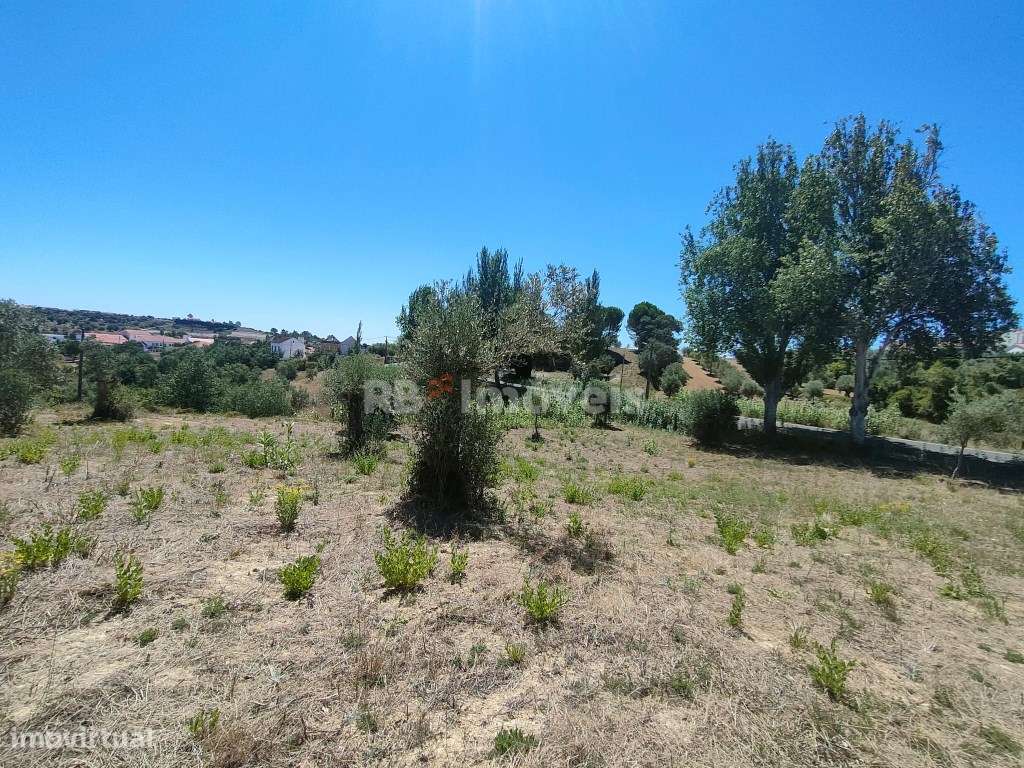 Terreno Rústico com 2.986,7m² - Carregueiros, Tomar - Grande imagem: 5/19