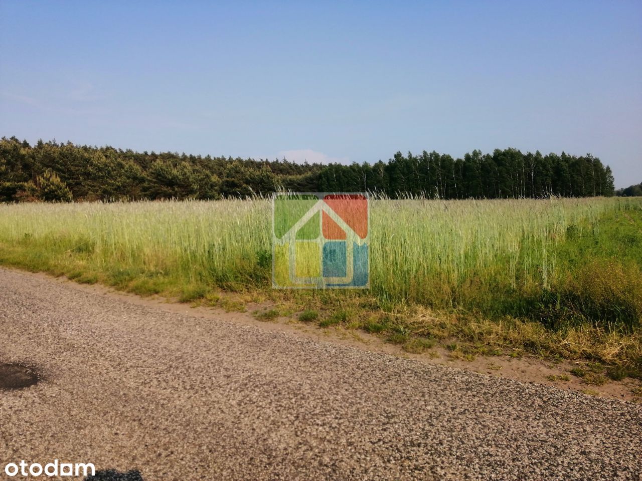 Działka rolno-budowlana w okolicy Szczawina