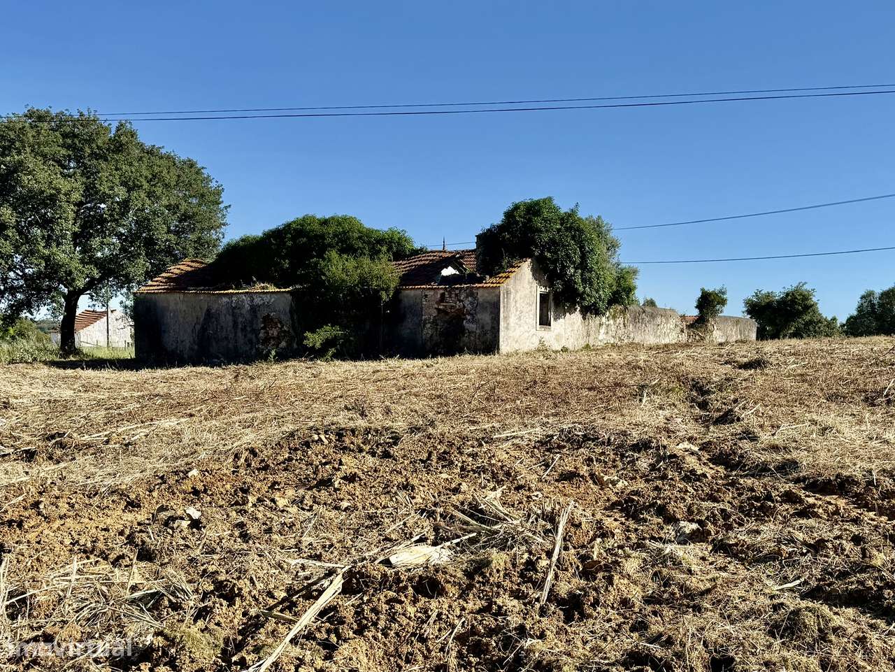Terreno com casa e anexo para restaurar - Turquel, Alcobaça-20