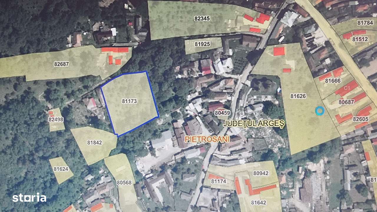 Vand 3350 mp teren intravilan Pietrosani arges - Imagine principală: 1/5