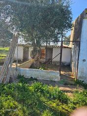 Quinta de 20 hectares em Campo Maior com Olival - Grande imagem: 2/12