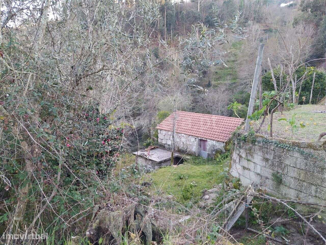 Terreno / Cinfães, Cinfães - Grande imagem: 3/5