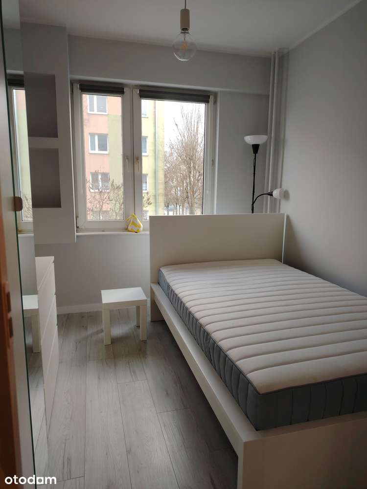 2 pokoje na 1. piętrze – jasne, gotowe do wprowadzenia | Gintera - Pełny obrazek: 2/16