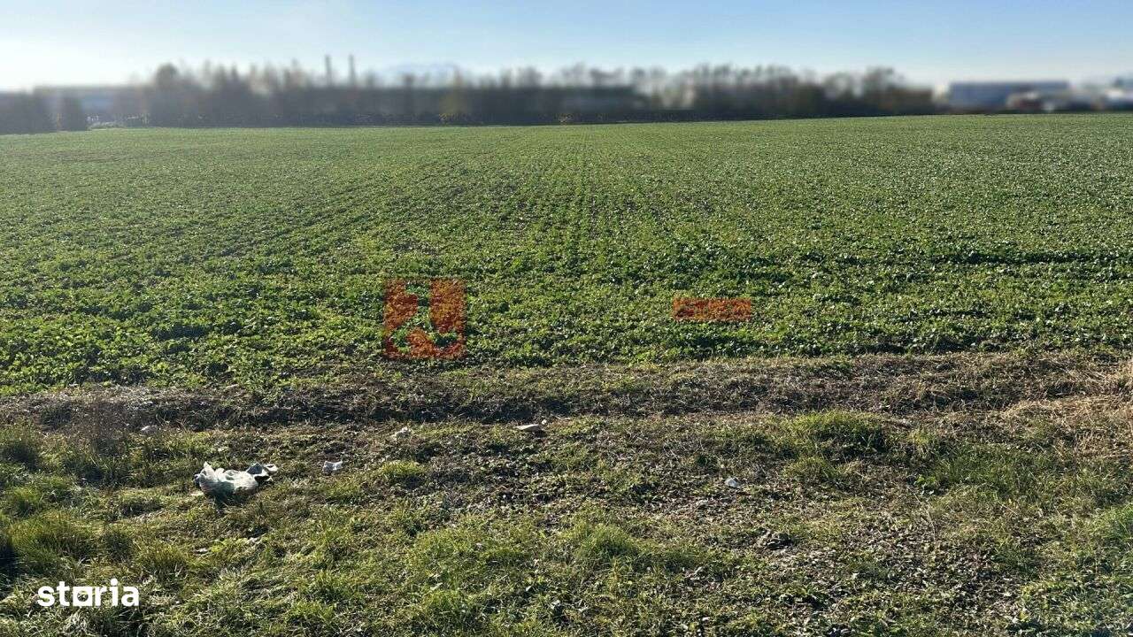 TEREN- 59 545 MP - POZITIONAT STRADAL-6