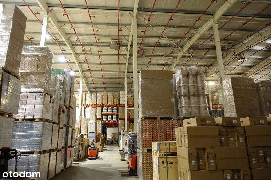 hala magazynowa - Pełny obrazek: 2/15