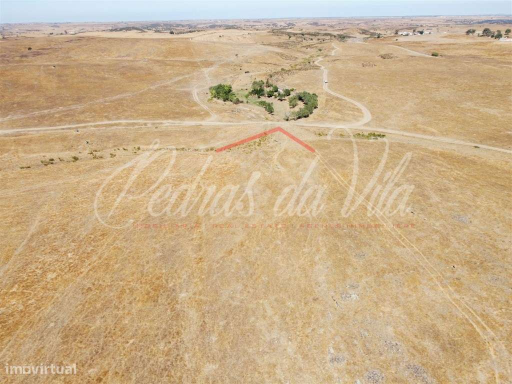 Propriédade de 119ha com varias ruinas - Castro Verde-5