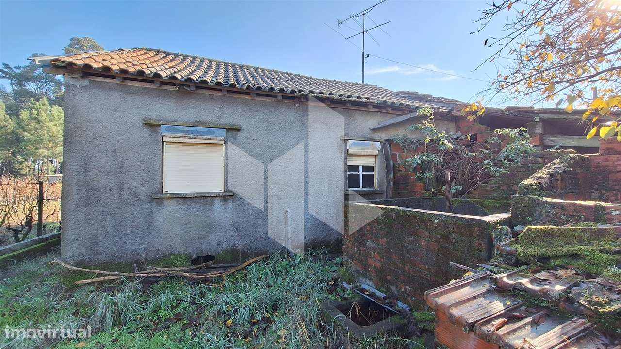 Moradia Devoluta T1 Venda em Molelos,Tondela-6