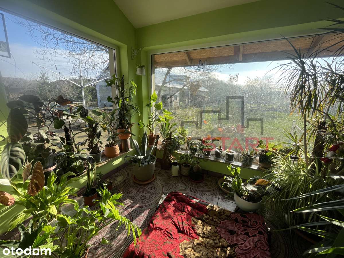 Urokliwe siedlisko w Korabiewicach-15