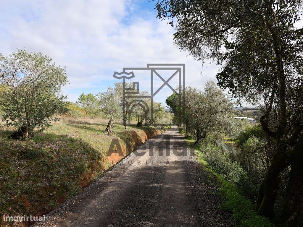 Oportunidade Única de Investimento Agrícola em Alenquer-24