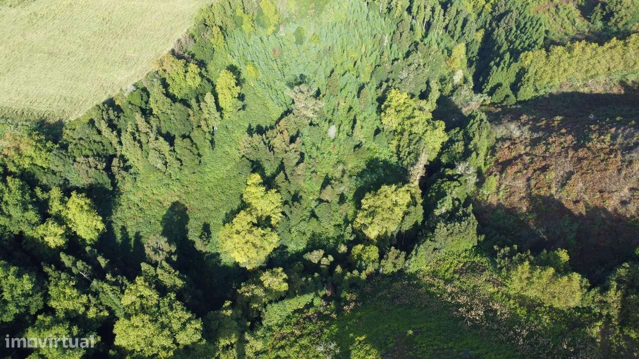 Terreno Rústico em Lomba da Maia-5