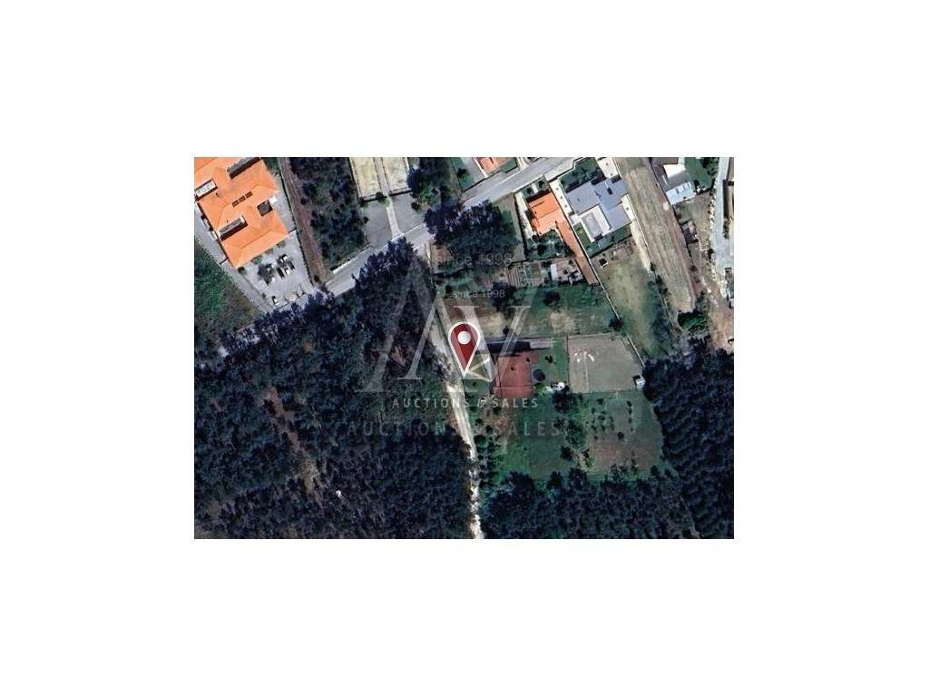 Terrenos Rústicos - ILHA - POMBAL | LEILÃO ELECTRÓNICO | FIM 25*FEV - Grande imagem: 2/5