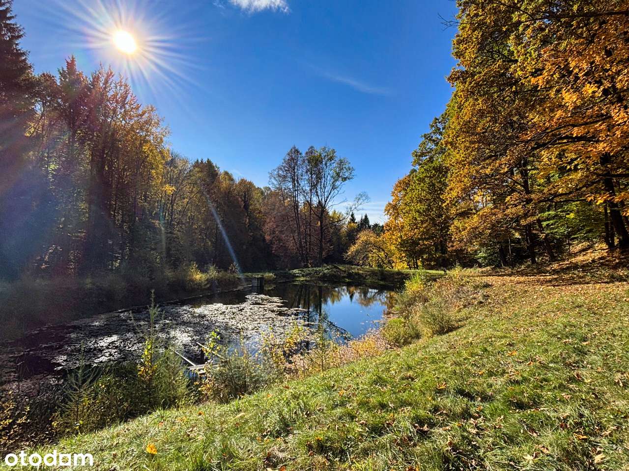 Wyjątkowa posiadłość w Orłowcu koło Lądka-Zdroju. - Pełny obrazek: 5/20
