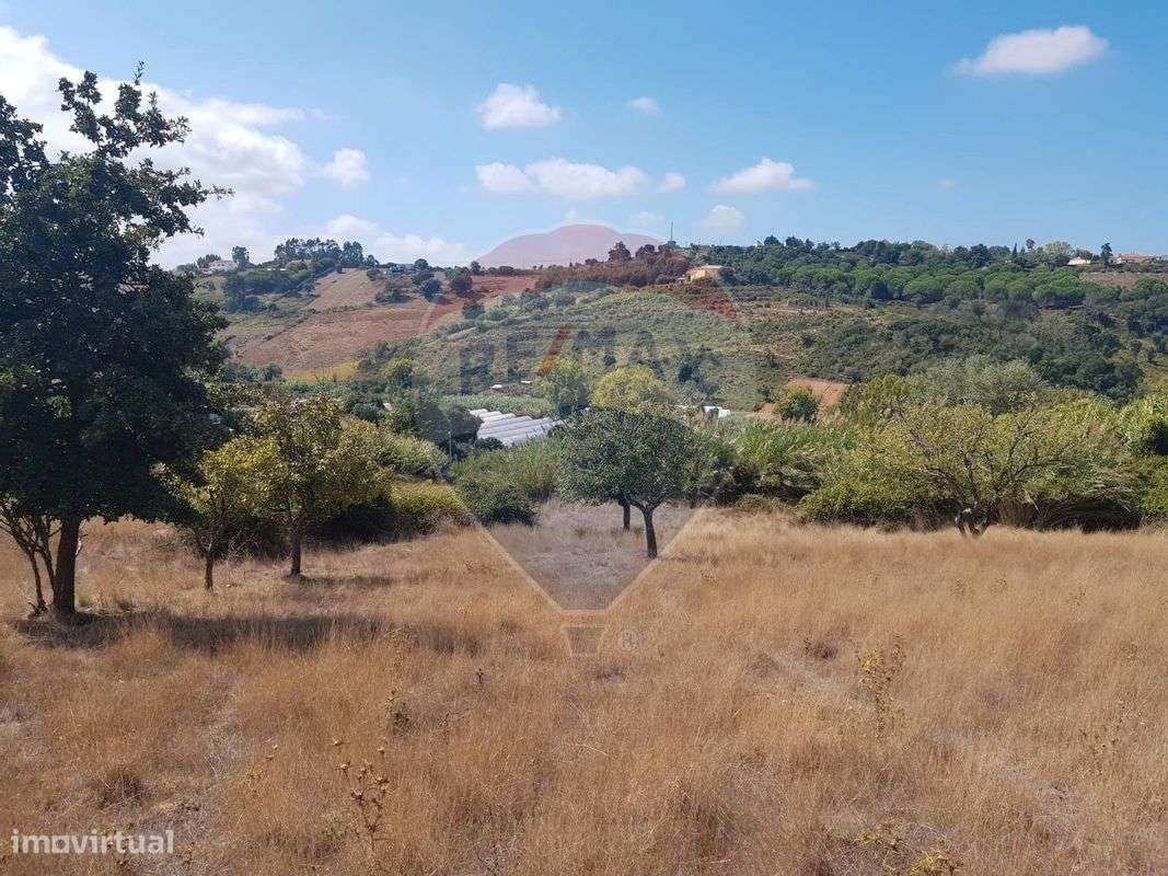 Terreno para venda - Grande imagem: 5/13