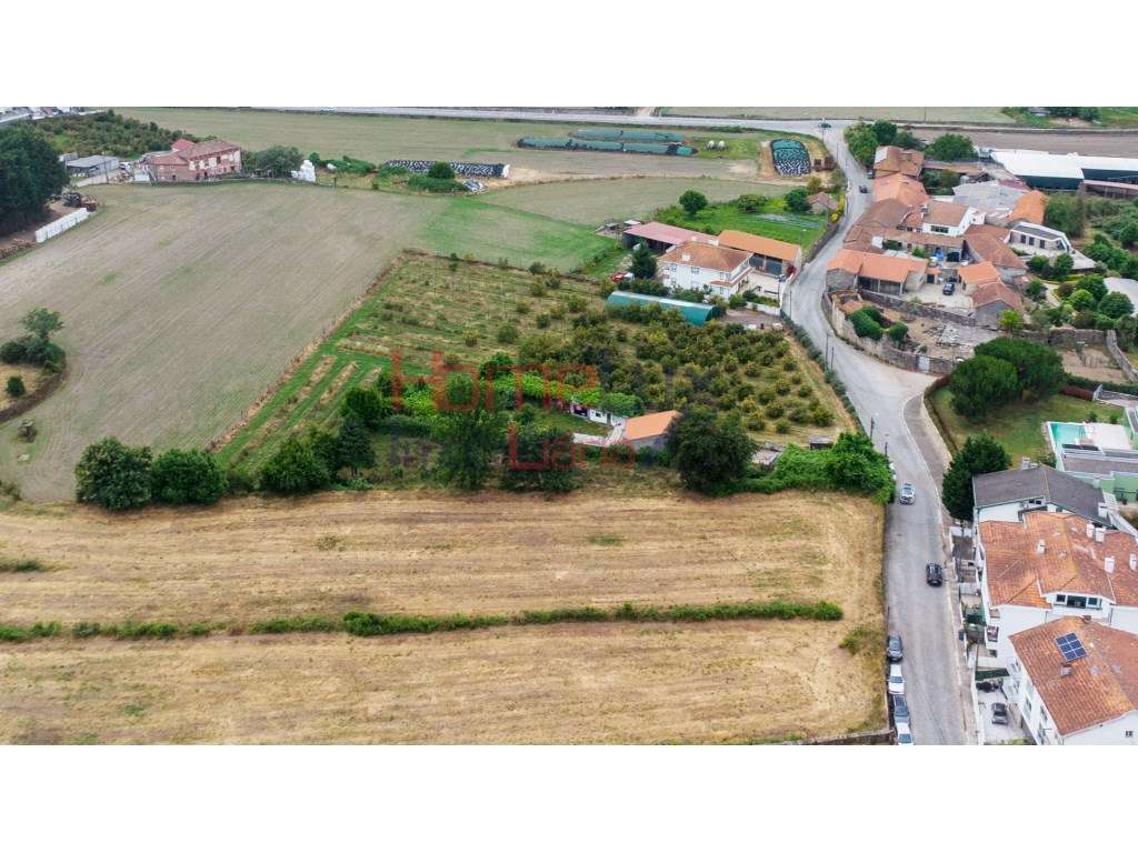 Terreno Rústico em Águas Santas - Grande imagem: 5/17