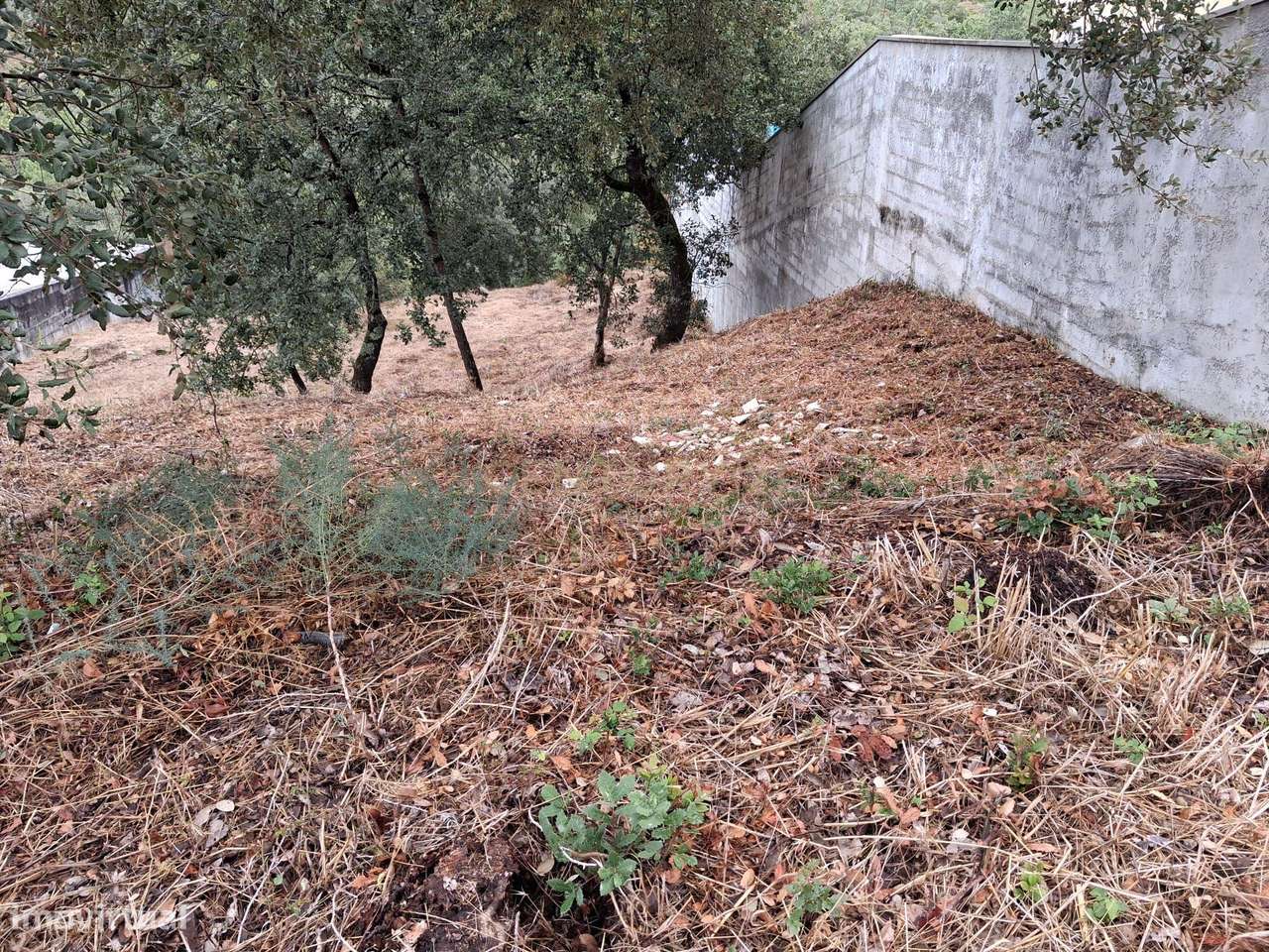 Lote em Zona Nobre de Pombal-5
