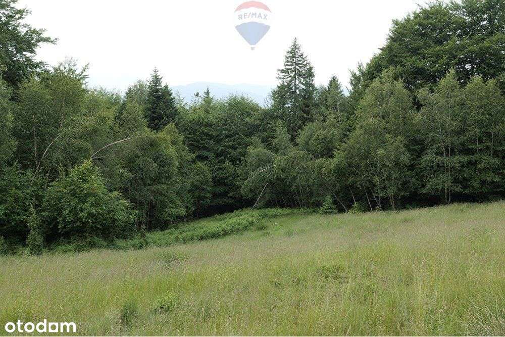 Wzgórze, las i przestrzeń – Twoje miejsce w górach - Pełny obrazek: 5/19