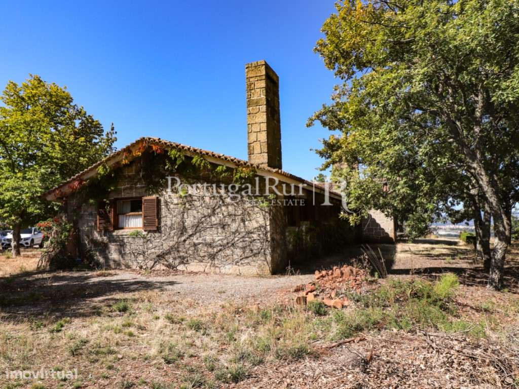 Quinta de 4 ha com 3 casas e cerejeiras no Fundão, ideal para turismo-40