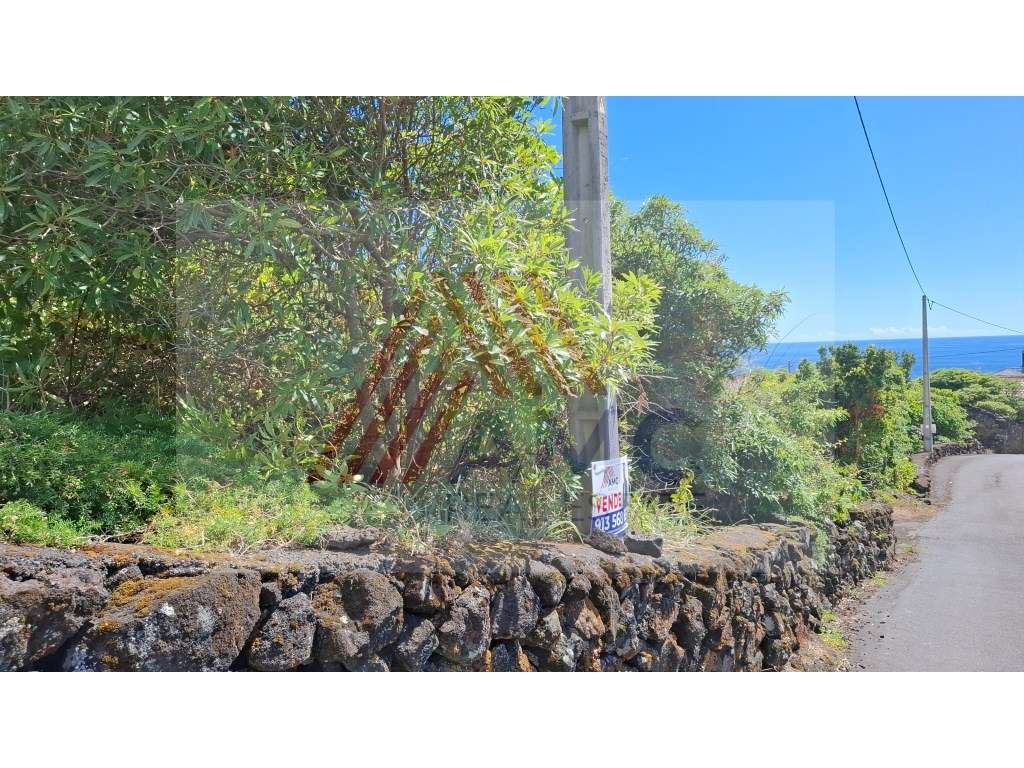 Terreno c/Viabilidade Construção, Candelária, Madalena Pico - Grande imagem: 5/6