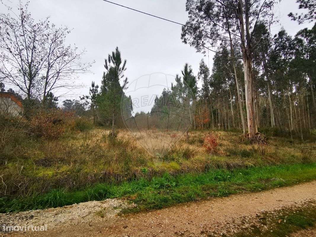 Terreno  para venda - Grande imagem: 5/6