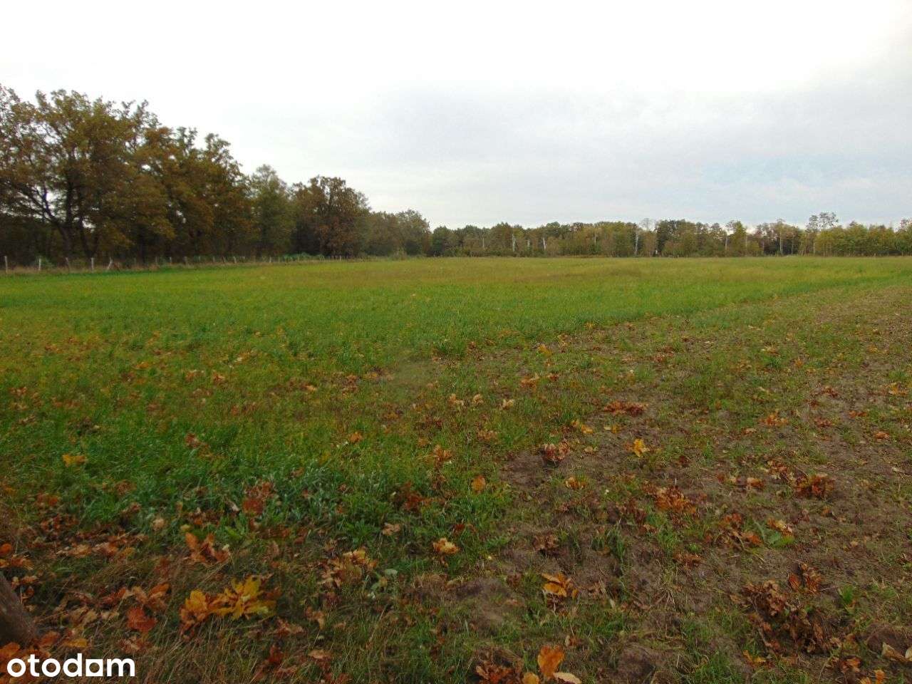 Działka przemysłowo-inwestycyjna w Zielonej Górze.