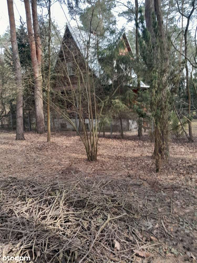 Łacha - dom 80m2 na działce 1400m2-4