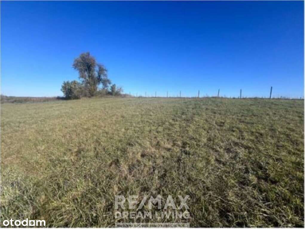 Piękna działka z dostępem do jeziora - Pełny obrazek: 5/14