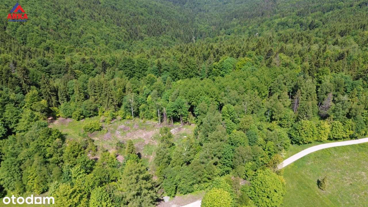 Działka budowlana w środku lasu | 750 m n.p.m. - Pełny obrazek: 4/10