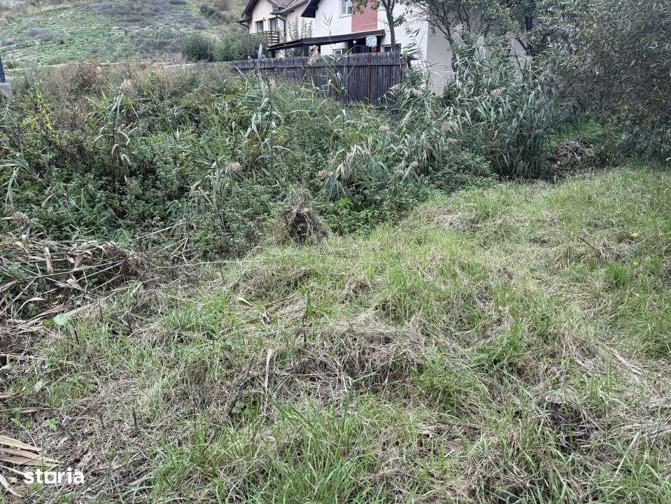 Teren intravilan 890mp in Chinteni – zona centrala, strada principal - Imagine principală: 4/4