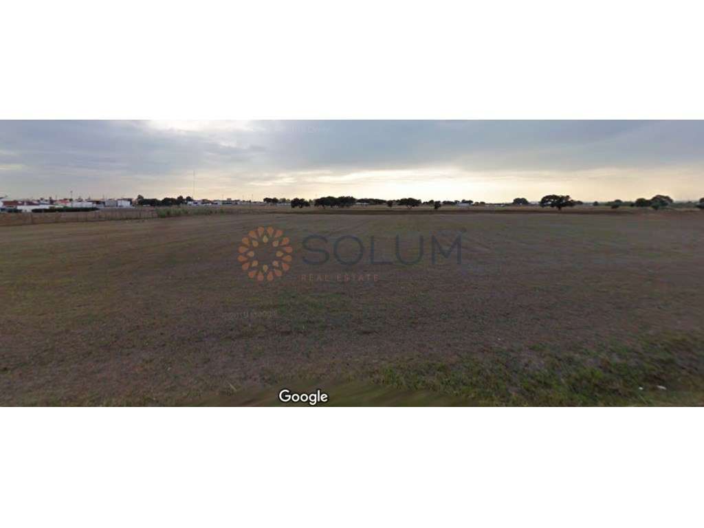 Terreno agrícola - 3 hectares na Jardia/Montijo - Grande imagem: 4/4