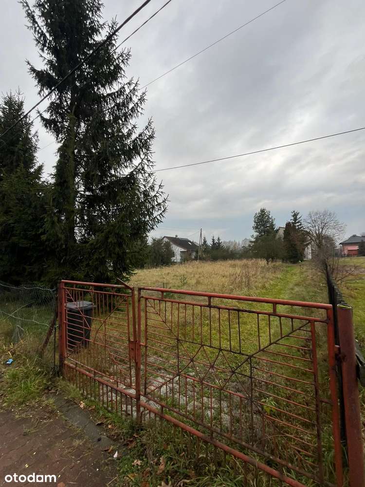 Całość !! 21 ar + Obszerny budynek mieszkalny jednoro albo dwurodz - Pełny obrazek: 4/11