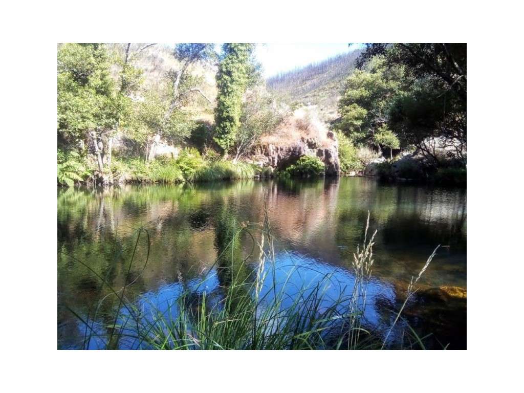 Conjunto de Cinco Imóveis urbanos com Terreno para venda em Caratão...-43