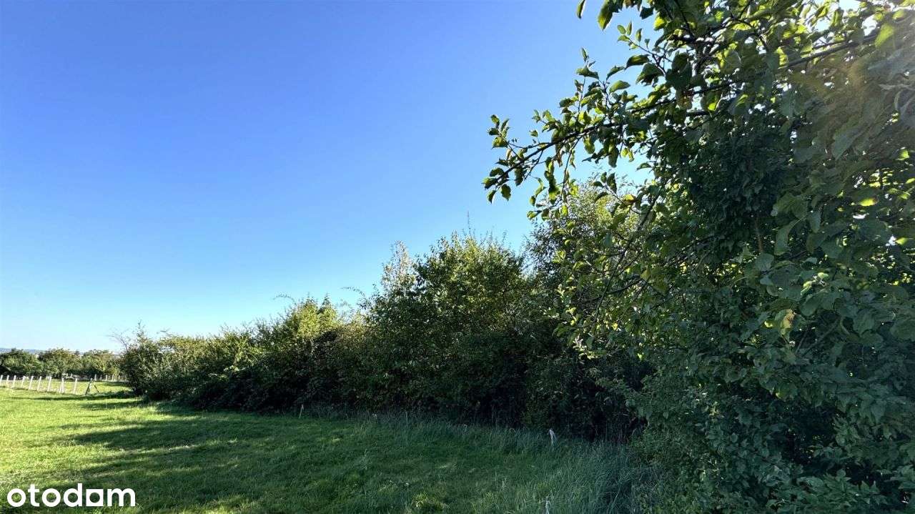 Cerekwica, gm. Trzebnica, budowlana, pow. 2475 mkw-2