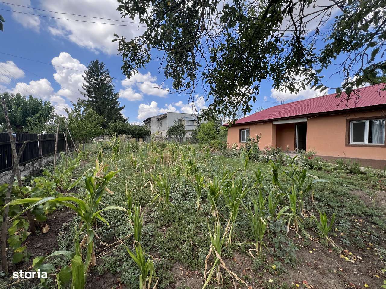 Casa individuala cu Gradina | Giurgiu - Valea Bujorului | Renovata - Imagine principală: 2/11