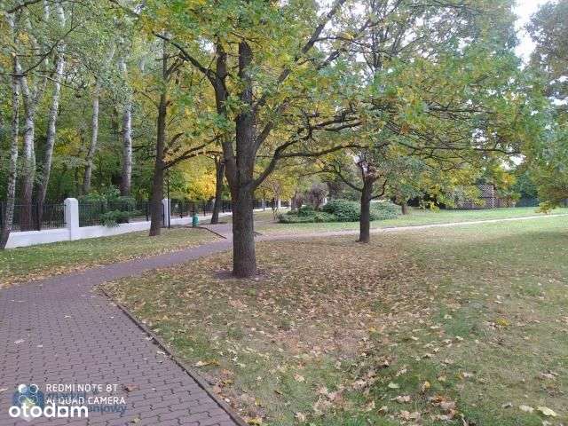 Dębina, 60,5 m, miejsce postojowe, komórka-13