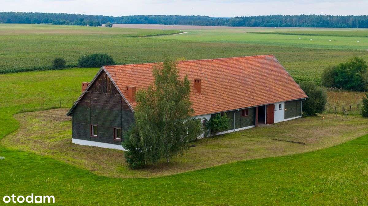 Duża działka +budynek - Stadnina Koni - Pełny obrazek: 3/20