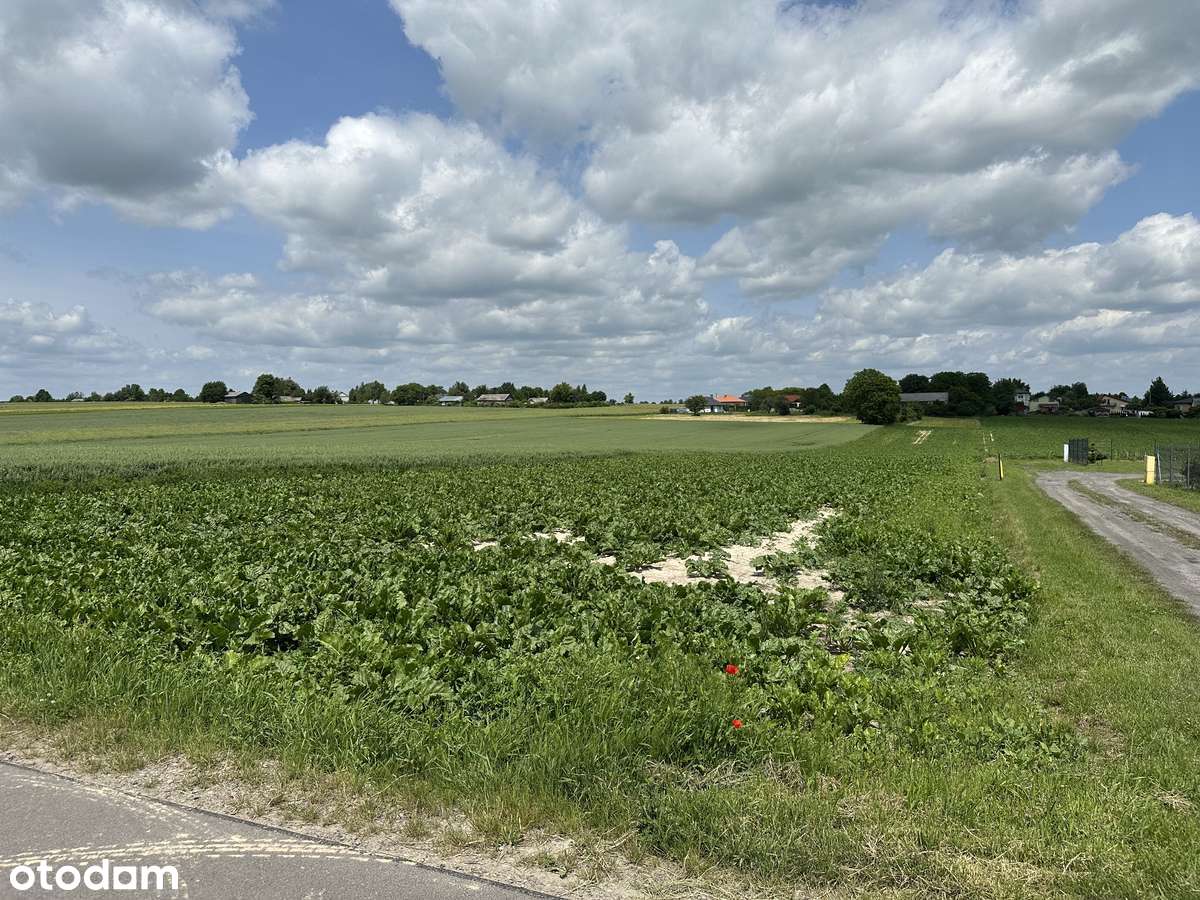 RPm 20m x ok. 230m media ul. Cicha - Pełny obrazek: 4/6